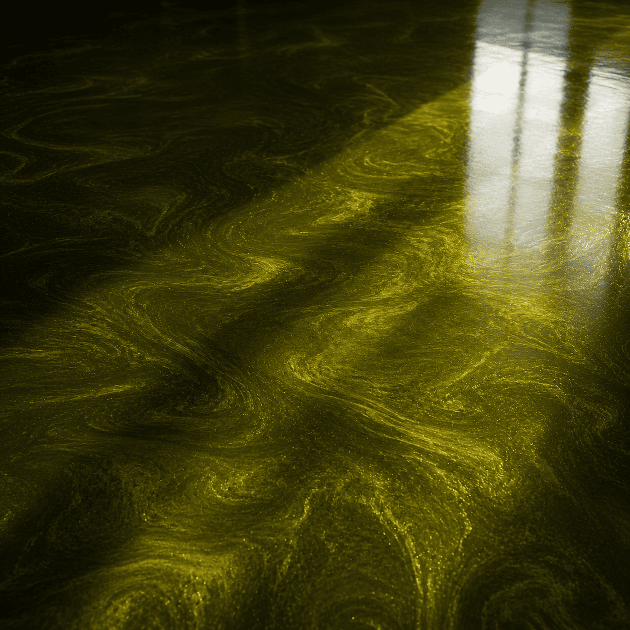 Olivegrüner Boden unter UV-Licht